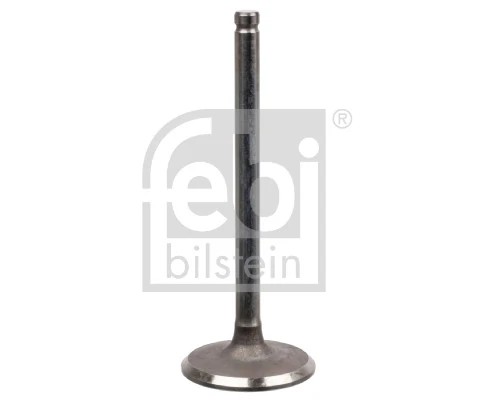 Intake Valve
